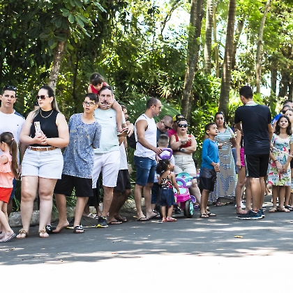 01.12.2024 - CHEGADA DO PAPAI NOEL 2024-19