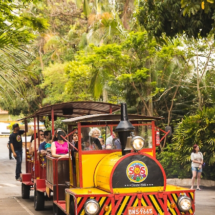 12.10.2024 - FESTA DAS CRIANÇAS 2024-6