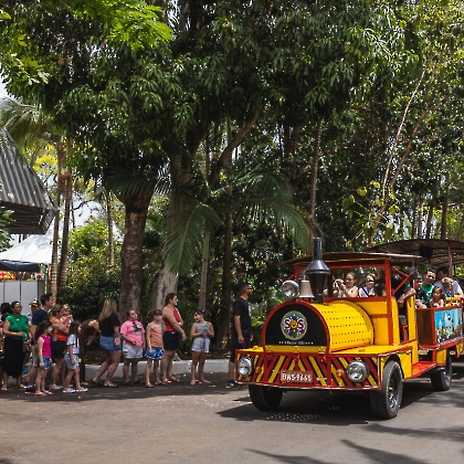 12.10.2025 - FESTA DAS CRIANÇAS 2025-89