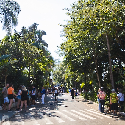 18.08.2024 - 1º ENCONTRO DE FANFARRAS DO CLUBE DE CAMPO EMPYREO-39