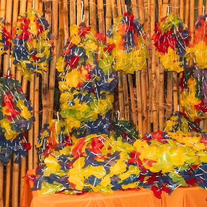 19.10.2024 - BAILE DO HAWAII 2024-112