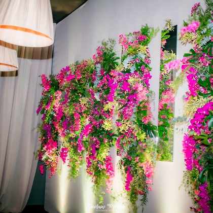 26.08.2023 - BAILE DE ANIVERSÁRIO 2023-171