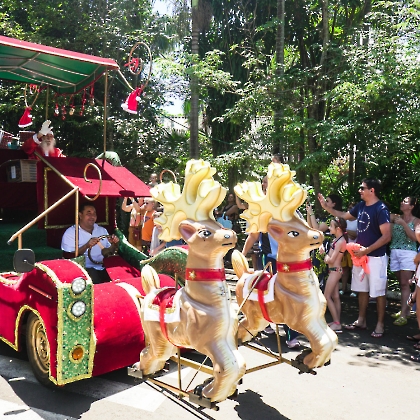 27.11.2022 - CHEGADA DO PAPAI NOEL 2022-10