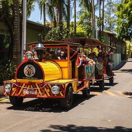 30.11.2025 - CHEGADA DO PAPAI NOEL 2025-196