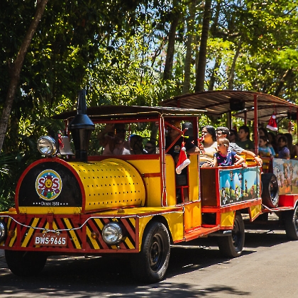 30.11.2025 - CHEGADA DO PAPAI NOEL 2025-201