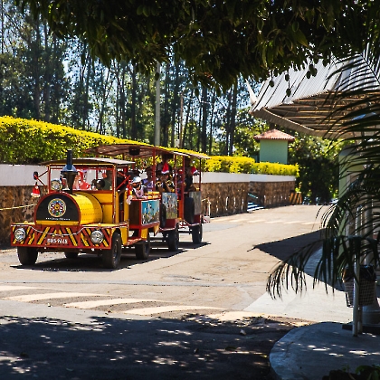 30.11.2025 - CHEGADA DO PAPAI NOEL 2025-22