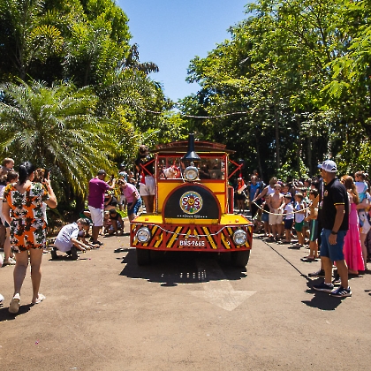 30.11.2025 - CHEGADA DO PAPAI NOEL 2025-34