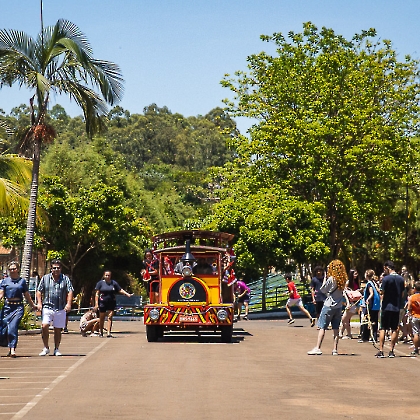 30.11.2025 - CHEGADA DO PAPAI NOEL 2025-68
